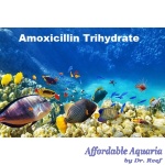 Amoxicillin Trihydrate