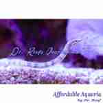 Dragonface Pipefish