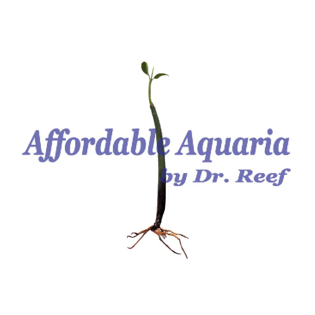 Mangrove Pod | Affordable Aquaria