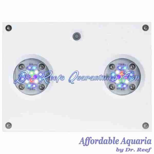 Hydra 32 HD LED Reef Light - Image 3