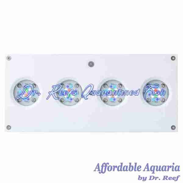 Hydra 64 HD LED Reef Light - Image 2