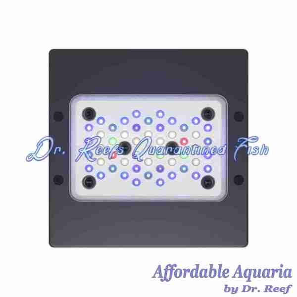 Radion XR15 G6 LED Light Fixture - Image 3