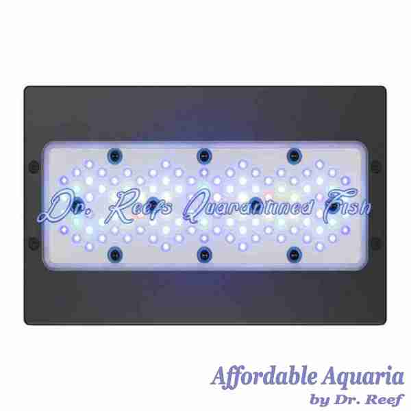 RADION XR30 G6 LED LIGHT FIXTURE - Image 2
