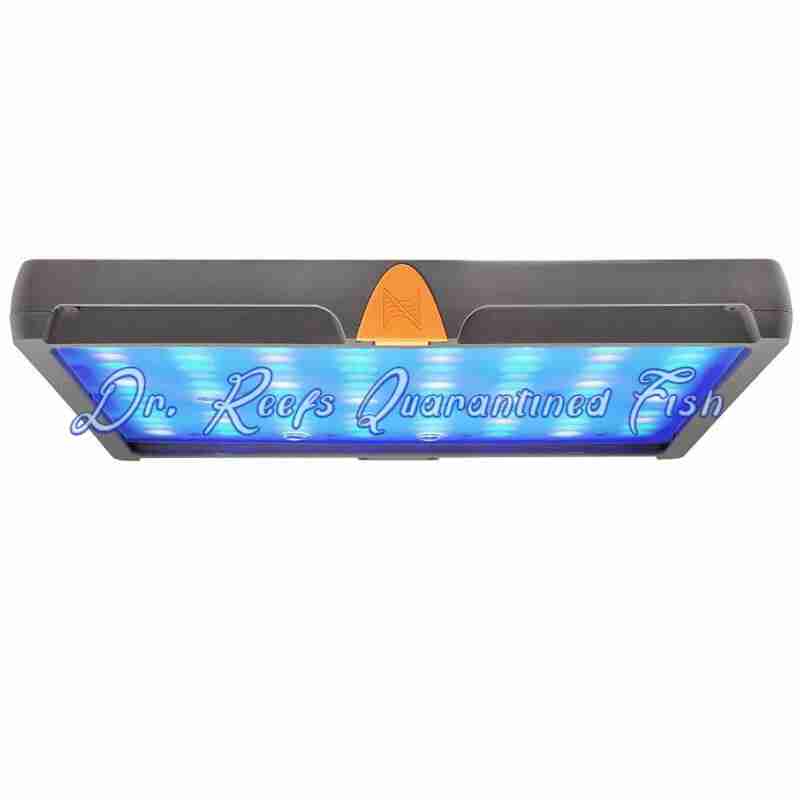 sky-led-aquarium-light-1 SKY LED Aquarium Light - Image 1