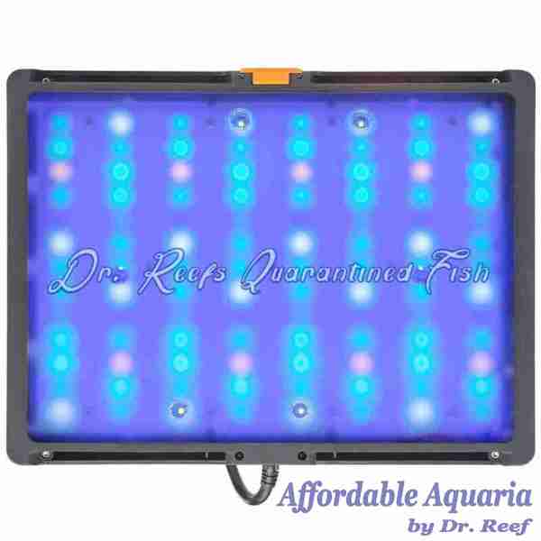 SKY LED Aquarium Light - Image 3